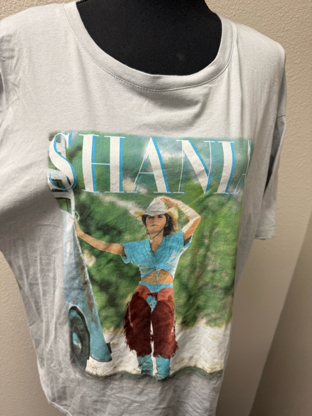 Shania Twain Graphic Tee Light Gray Country Music Shirt Large Casual Top - Picture 3 of 9
